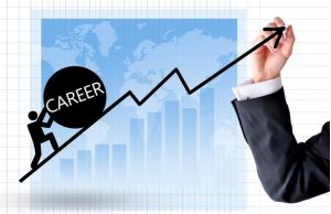 career after diploma