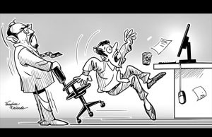 Fresher jobs in IT may be slowing down soon.
