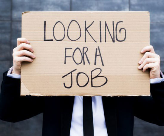 Work smart and work hard to land great fresher jobs.