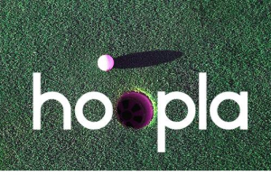 Looking for jobs in Hyderabad? Consider these openings in Hoopla Interactive.