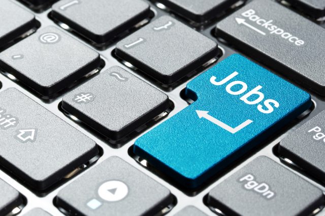 job search