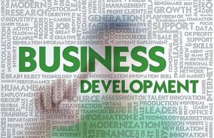 Business Developer Executive