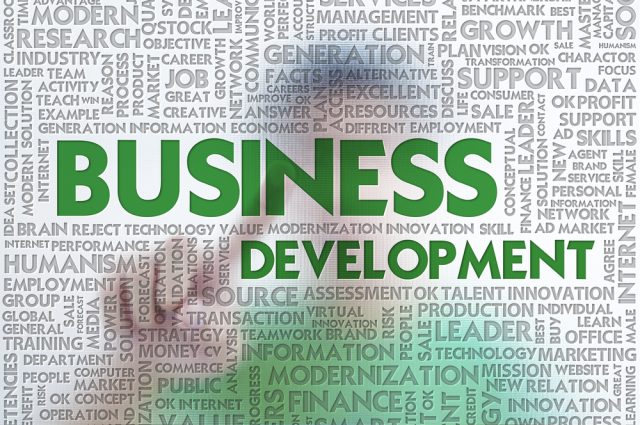 Business Developer Executive