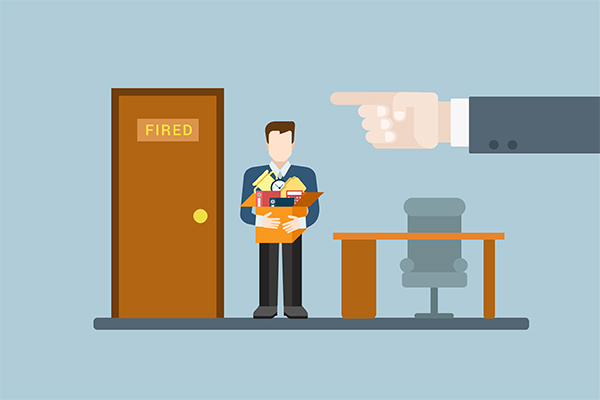 Fresher Jobs