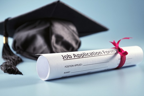 High-paying job profiles ideal for freshers.
