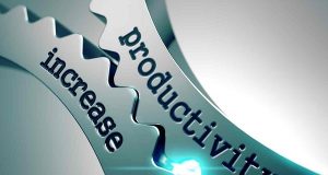 Increase your productivity with these success tips.