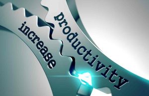 Increase your productivity with these success tips.