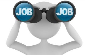 job search