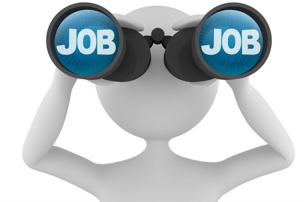 Your hard work can take you to new heights when on a job search.