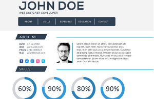 Resume writing 101 for Software developer resumes. (Image: WiseStep)