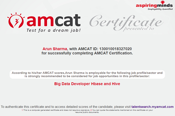 AMCAT Big Data Developer certificate.