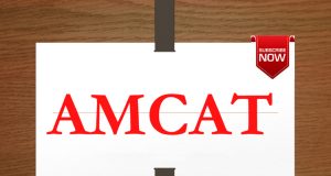 amcat score