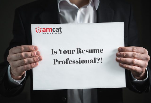 professional resume