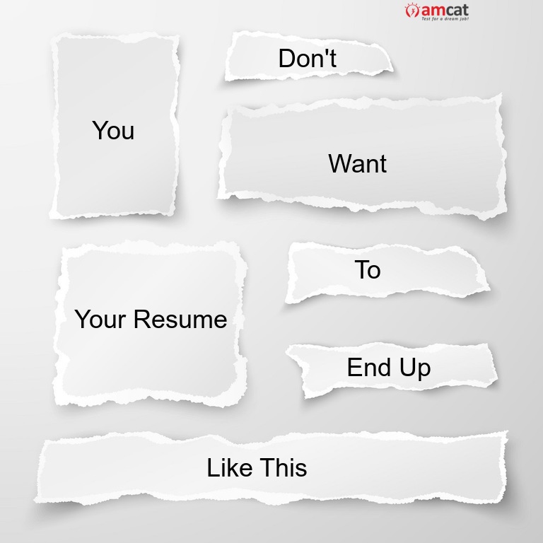 job resume