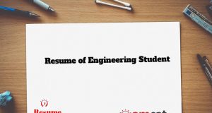 resume of engineering student