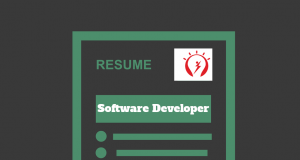 software developer resume