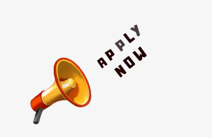 Business Development Executive