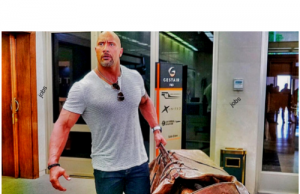 Bag the biggest jobs in 2019.