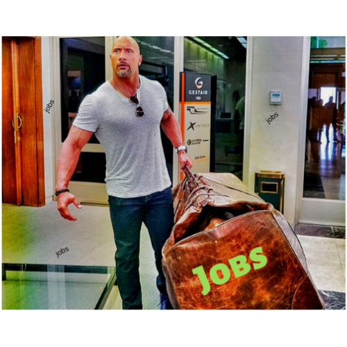 Bag the biggest jobs in 2019.