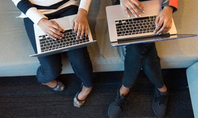 Software Developer jobs