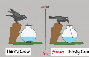 smart work vs hard work