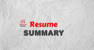 resume summary examples