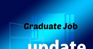 graduate job updates for freshers