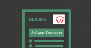 software developer resume