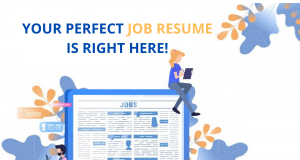 Follow these steps and make an impeccable job resume