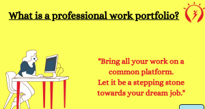 Types of a professional portfolio