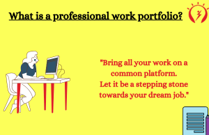Types of a professional portfolio