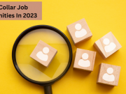 Grey-collar job opportunities in various fields include healthcare, information technology, skilled trades, manufacturing, and transportation and logistics.