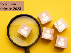 Grey-collar job opportunities in various fields include healthcare, information technology, skilled trades, manufacturing, and transportation and logistics.