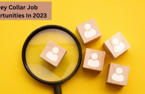 Grey-collar job opportunities in various fields include healthcare, information technology, skilled trades, manufacturing, and transportation and logistics.