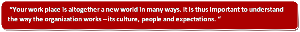 Your work place is altogether a new world in many ways. It is thus important to understand the way the organization works – its culture, people and expectations.